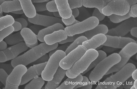 Bifidobacterium infantis M-63 is a unique probiotic strain of human-residential bifidobacteria (HRB) – bifidobacteria that naturally reside in the human gut – and is renowned for its ability to utilize human milk oligosaccharides (HMO) found in breast milk, significantly improving the intestinal environment of healthy full-term infants.  (Graphic: Business Wire)