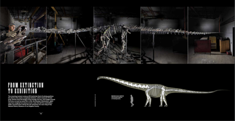 From extinction to exhibition. Stitch of five images by Craig Cutler, courtesy of National Geographic.