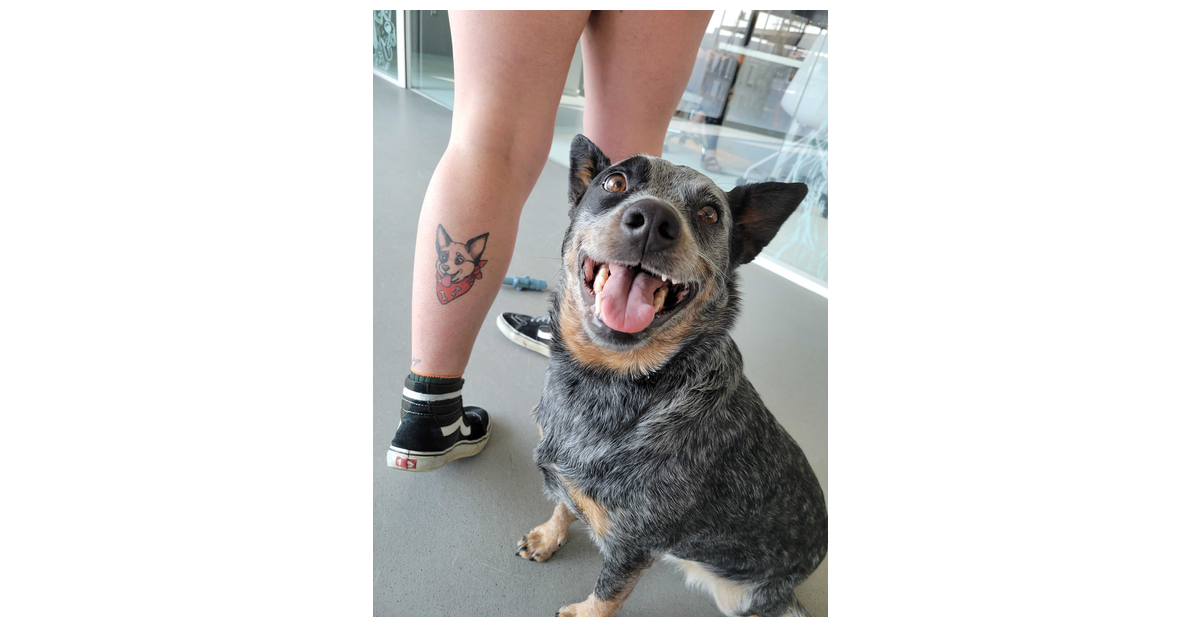 BARK Celebrates National Dog Day with Third Annual Tattoo Contest, Awarding Humans with Ink Inspired By Their Dogs