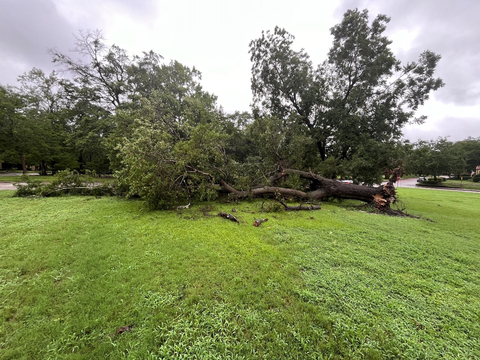 Debby left downed trees scattered on base at Fort Liberty. (Photo: Business Wire)