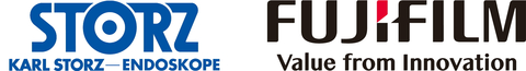 KARL STORZ Logo