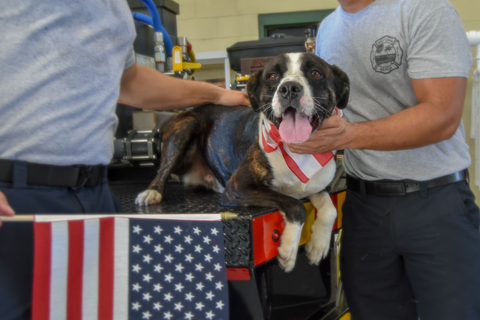 No cost to adopt any dog or cat Friday, Saturday, and Sunday from 12:00 noon to 6 pm all three days at Halifax Humane Society during Hill's Pet Nutrition and NBCUniversal Clear the Shelters event. (Photo: Business Wire)