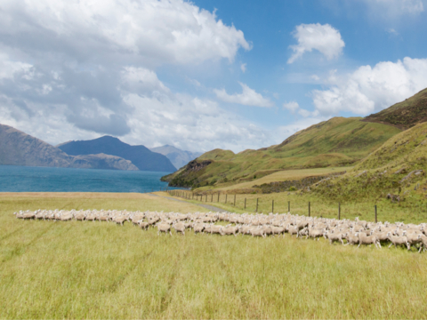 Southern Lakes District of New Zealand. (Photo: Business Wire)