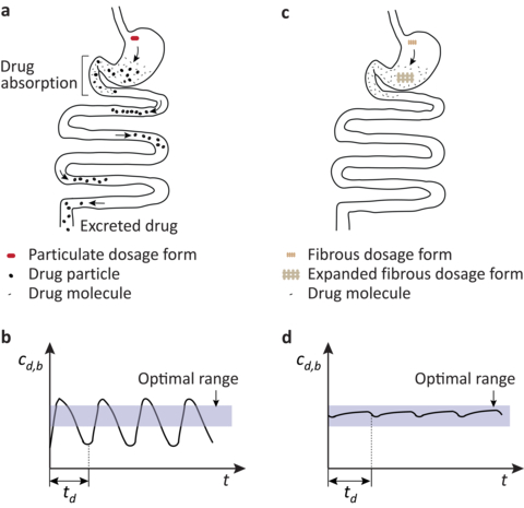 Schematics of the passage of dosage forms through the gastrointestinal tract, and drug concentration in blood after repeated dosing: (a) and (b) particulate dosage form, and (c) and (d) gastroretentive fibrous dosage form. cd,b: drug concentration in blood; t: time; td: dosing interval. The schematics are adapted from A.H. Blaesi and N. Saka, Int. J. Pharm. (2024) 124360 (in press) https://doi.org/10.1016/j.ijpharm.2024.124360. (Graphic: Business Wire)