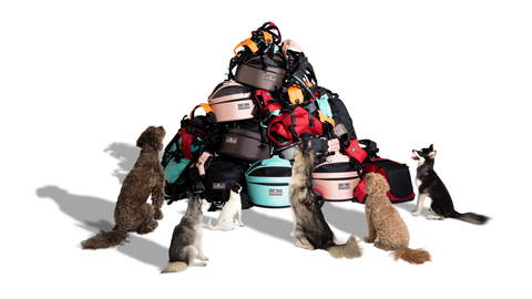 Every Sleepypod product in this photo protected a pet in a real-life car collision. Customers submitted the products and crash information to Sleepypod's Crash Replacement Program. (Photo: Sleepypod)