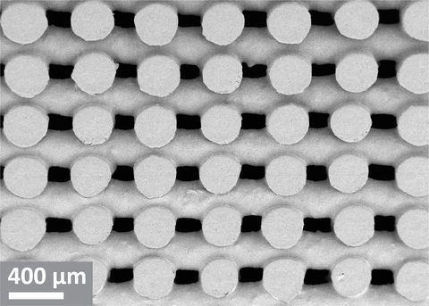 Elektronenmikrograph der Mikrostruktur einer Enzian Tablette. Die Tablette besteht aus übers Kreuz angeordneten, 3D-gedruckten Zellulosefaserschichten. Das Bild wurde in angepasster Form aus der Publikation A.H. Blaesi et al. Int. J. Pharm. (2023) 122378 https://doi.org/10.1016/j.ijpharm.2022.122378 übernommen. (Photo: Business Wire)