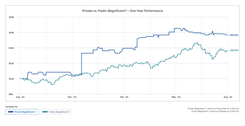 Private vs. Public Magnificent 7 - One-Year Performance (Graphic: Business Wire)