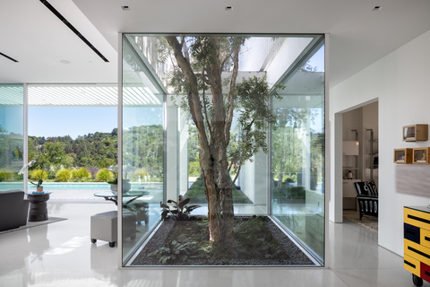 12251 Castlegate Dr. Atrium with Melaleuca Tree. (Photo: Business Wire)