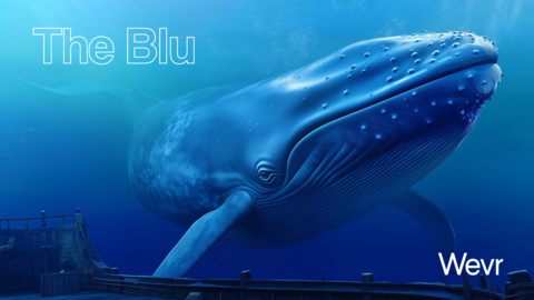 The Blu Experience (Graphic: Business Wire)