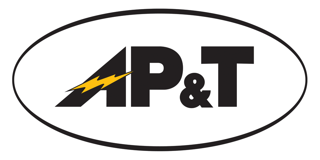 AP&T Wins the Southeast Conference “Business of the Year Award” for 2024