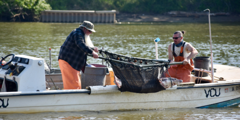 Virginia Commonwealth University Taps T-Mobile to Help Protect Endangered Species (Photo: Business Wire)