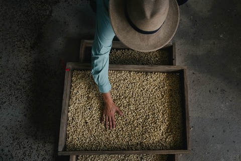 Starbucks agronomist at Hacienda Alsacia (Photo: Business Wire)