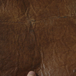 Large-sample2.jpg
