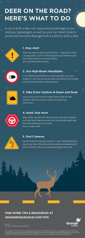 Essential tips for avoiding deer collisions and protecting your vehicle (Graphic: Business Wire)