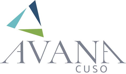 AVANA Companies Logo