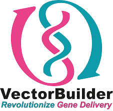 VectorBuilder Logo