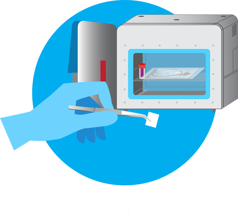 Figure 1: ActivShield™ film ready to be placed in chamber for sterilization (chamber not required) (Graphic: Business Wire)