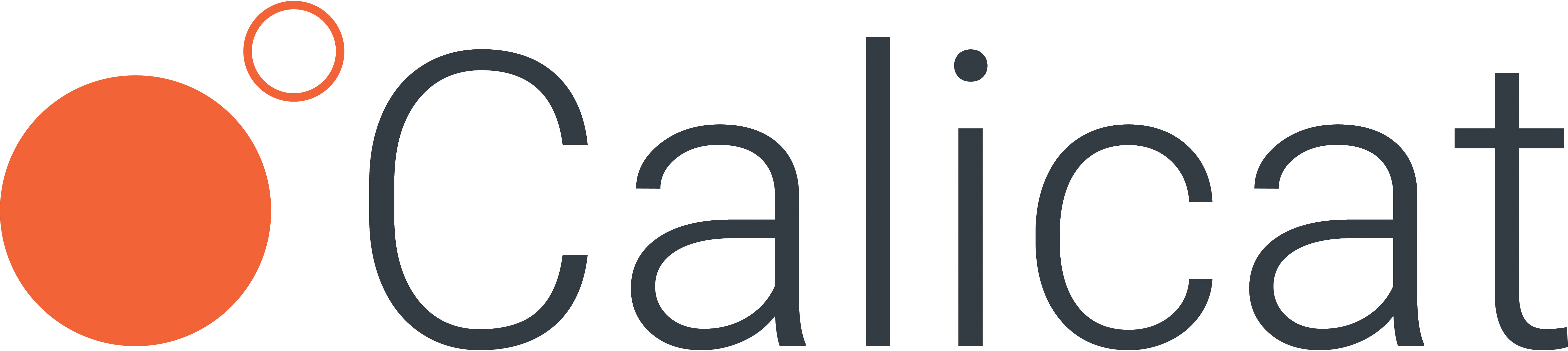 California Catalysts Raises 3M in Series A2 Funding to Commercialize