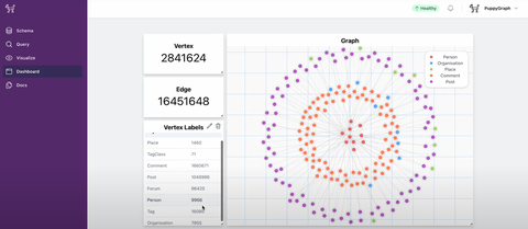 PuppyGraph UI Dashboard (Graphic: Business Wire)