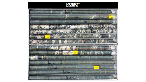 Image 1 : Forte altération et minéralisation aurifère (8,0 m à 3,72 g/t Au) dans le trou de forage KDD0028 (Photo: Business Wire)