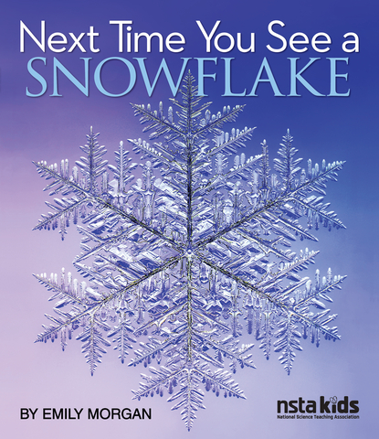 Cover of Next Time You See a Snowflake (Photo: Business Wire)