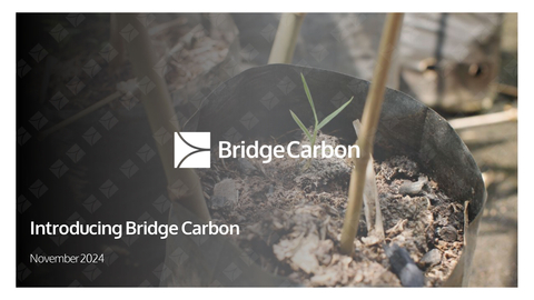 Introduction to Bridge Carbon