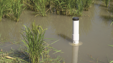 thumbnail A water depth sensor measuring the water level in real time (Image: Greenery)
