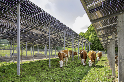 SUNfarming development (Photo: Business Wire)