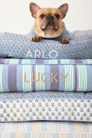 Colorful block prints, plaids and bold stripes are featured on Bark & Graham’s new collection of custom pet beds, bowls, collars and apparel that are all designed to be both functional and beautiful. To see the full collection, visit: markandgraham.com/pet (Photo: Mark & Graham)