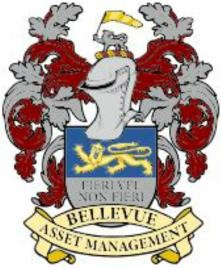 Bellevue Capital Partners, LLC Logo