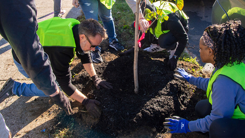 Credit: Doe-Anderson 
Employees plant trees in Louisville neighborhood.