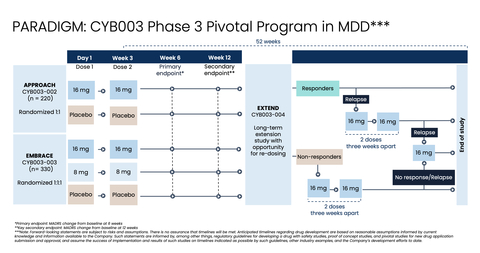 Phase 3 PARADIGM Pivotal Program Design (Graphic: Business Wire)