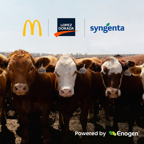 McDonald’s USA, Syngenta and Lopez Foods collaborate to help produce beef more sustainably in the US