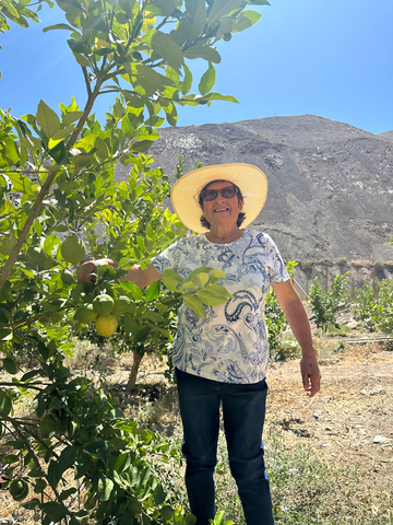 Silvia Rojas, vecina oriunda de El Churcal transformó su vida a través de su emprendimiento y el beneficio de Emprende Alto 3. Con su negocio “Limones Sol de Atacama” busca prosperar en la agricultura con fe y convicción. (Foto: Business Wire)