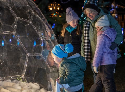 Winter Wonders returns to Royal Botanical Gardens' Hendrie Park. (Photo: Royal Botanical Gardens Canada)