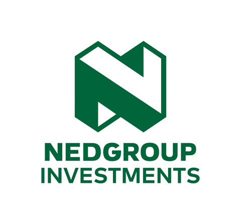 Nedgroup Investments Logo