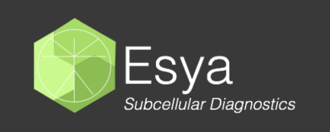 ESYA Labs Logo