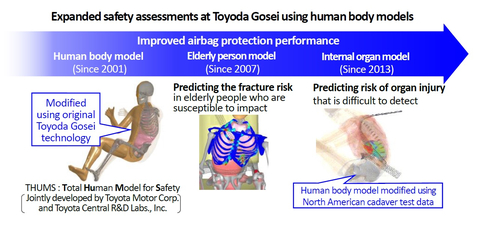 Expanded safety assessments at Toyoda Gosei using human body models (Graphic: Business Wire)