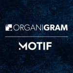 Organigram_Motif.jpg