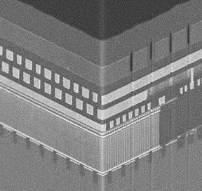 図3：試作したOCTRAMの鳥瞰SEM像 （写真：ビジネスワイヤ）