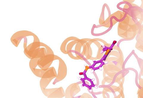 drug molecule bound to a protein (Graphic: Business Wire)