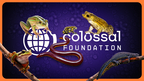 The Colossal Foundation Makes First Donation of US $1M as Part of $3M Commitment to Combat Chytrid Fungus (Photo Credit: Colossal Biosciences)