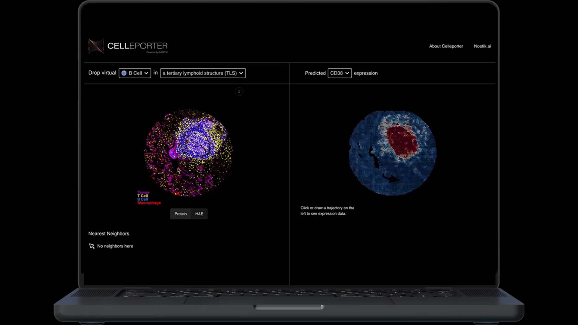 Celleporter, an interactive tool that enables users to view virtual cell simulations using different prompts across discrete spatial locations in real or virtual patient tissues.