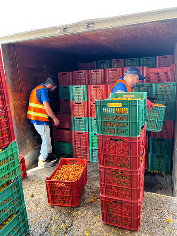 Donations of NatureSweet Cherubs to Food Banks in Mexico (Photo: Business Wire)