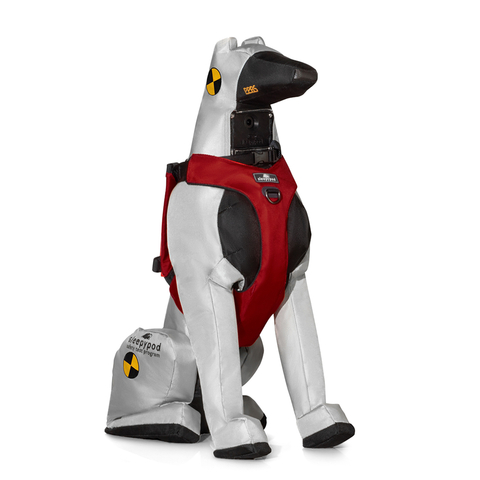 Clickit Range car safety harness on Sleepypod's Crash Test Dog DASH 1.0. Clickit Range is designed to protect dogs with a distinctive sighthound shape when riding in a car. Sighthounds have long legs, a deep chest, and a wiry body. (Photo: Sleepypod)