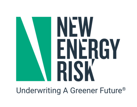 New Energy Risk Logo