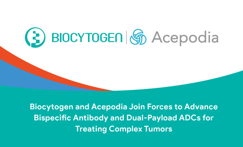 Biocytogen and Acepodia Join Forces to Advance Bispecific Antibody and Dual-Payload ADCs for Treating Complex Tumors. (Graphic: Business Wire)