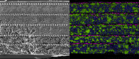 Figure 1: Cross sectional analysis visualization of Microvast’s bipolar stacked ASSB. (Graphic: Business Wire)