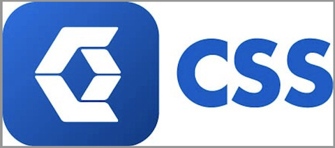 CSS Inc Logo
