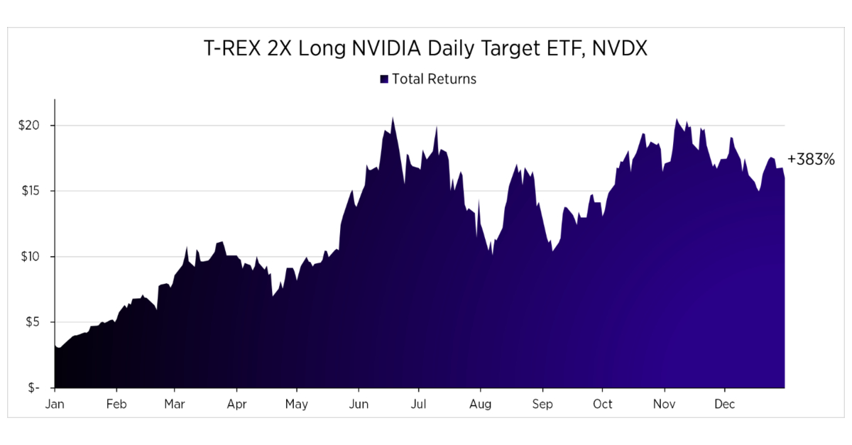 NVDX、ETFとして2024年最高のパフォーマンスを記録